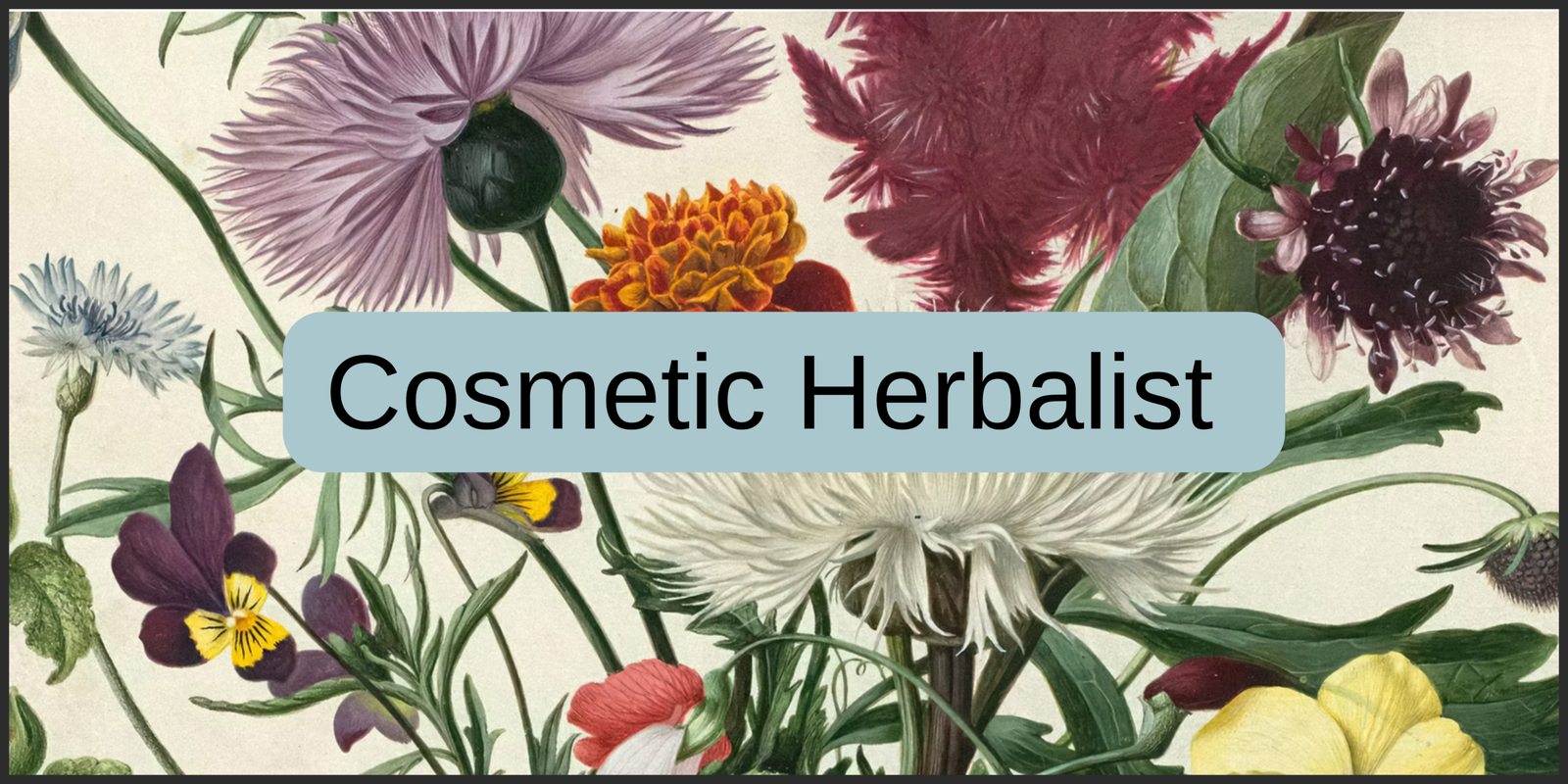 Cosmetic Herbalist